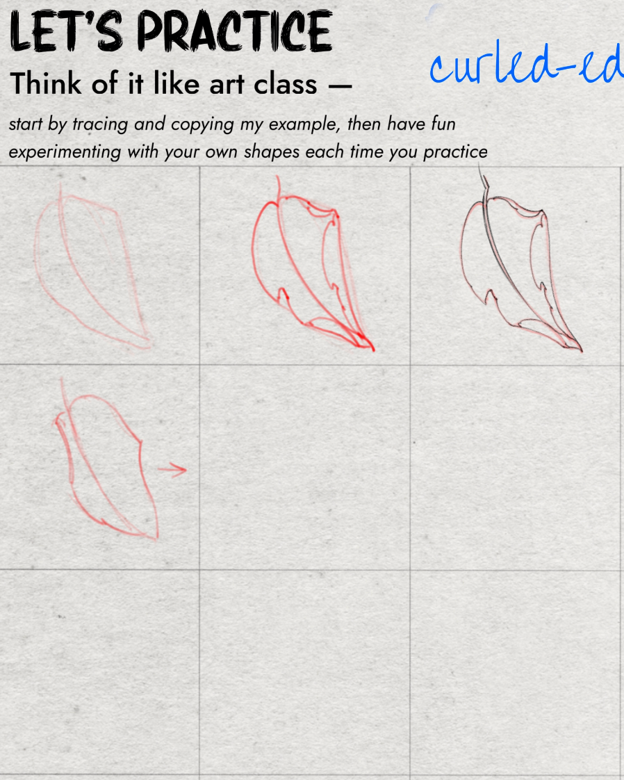Leaf Drawing, Shading Practice Schemes