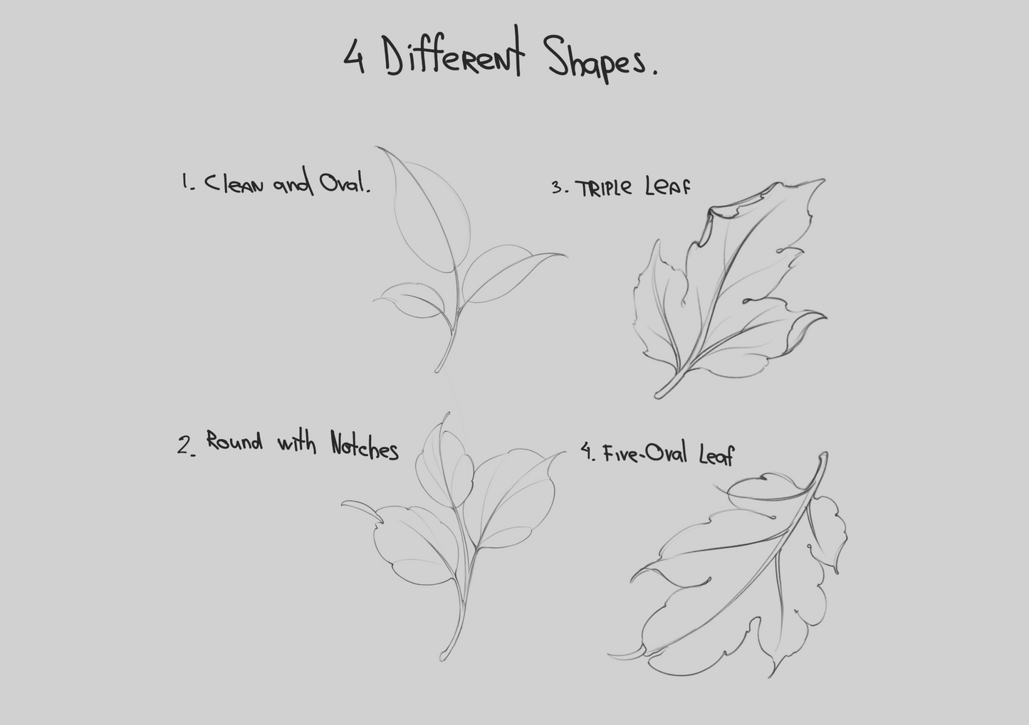 Video Lesson How to Drawing Leaves
