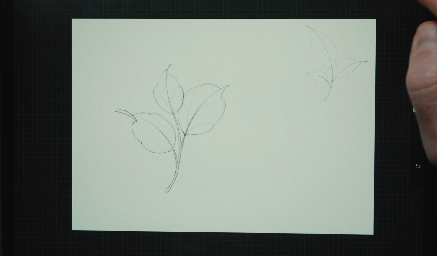 Video Lesson How to Drawing Leaves