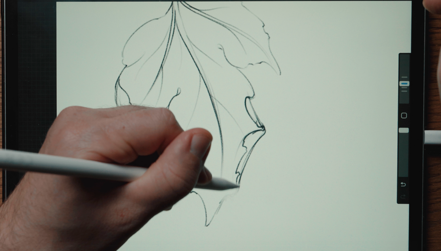Video Lesson How to Drawing Leaves