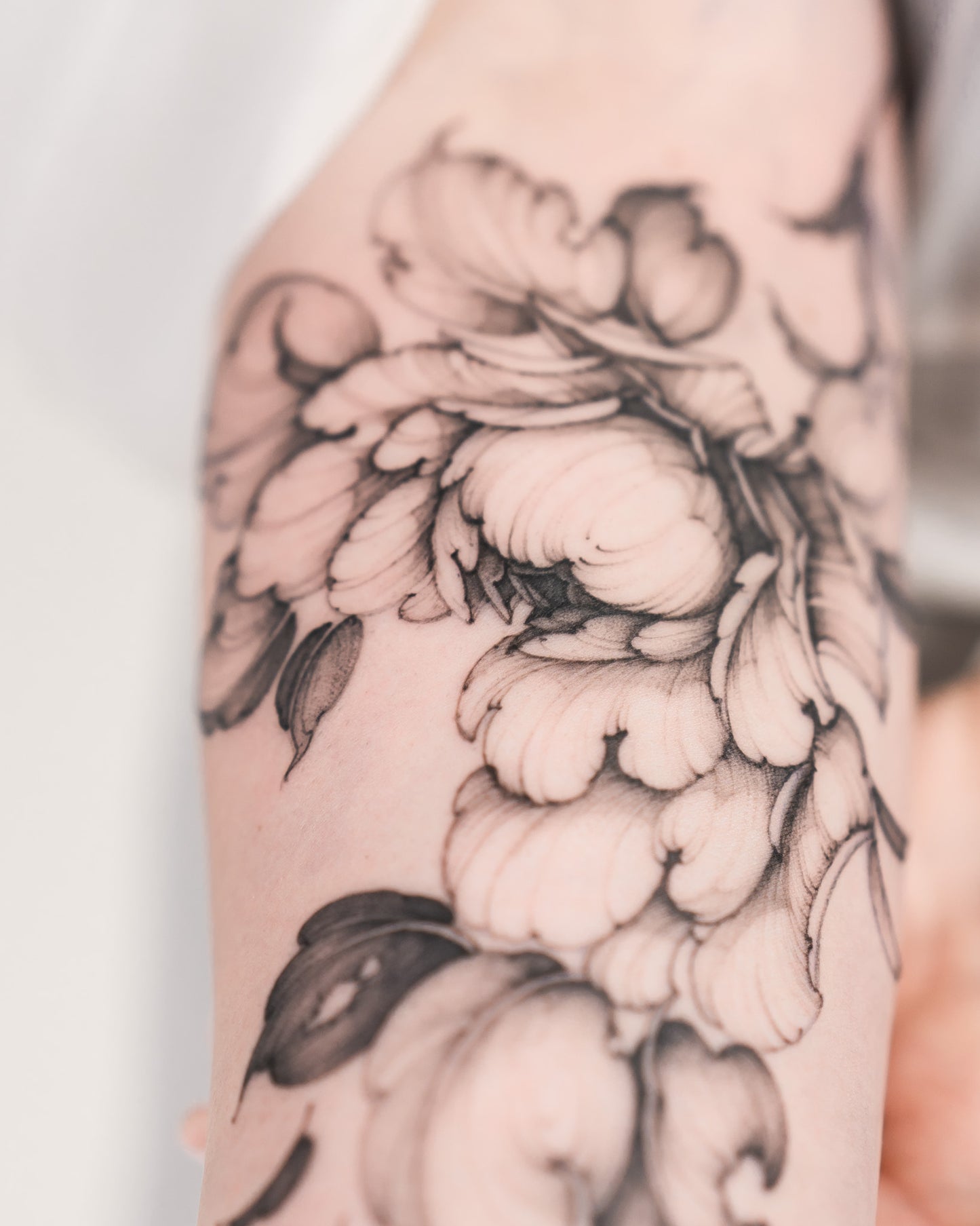 Master Class by Marina Krapiva