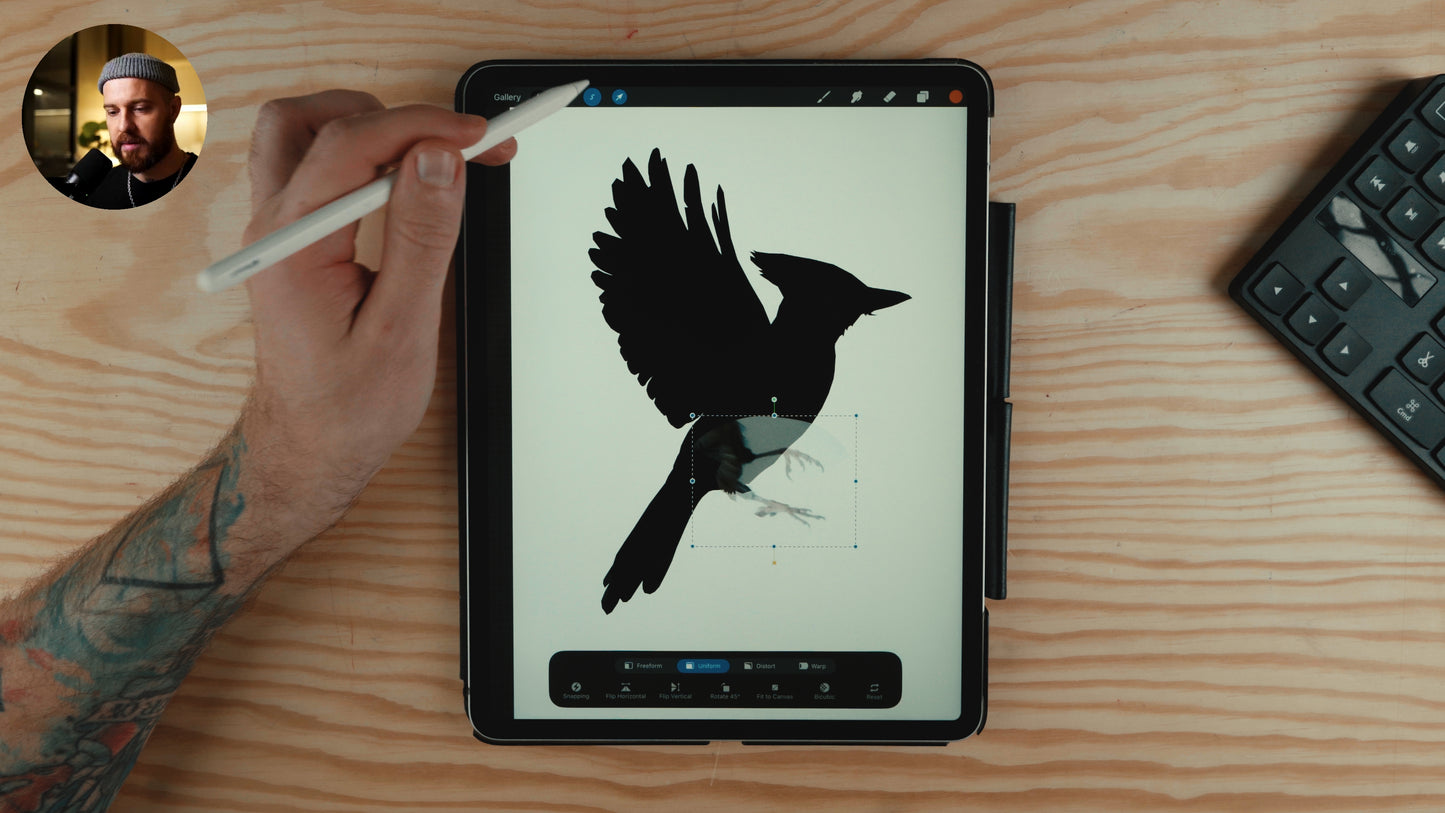 MASTER CLASS / Create tattoo Design in Procreate / Part I (DESIGN ONLY!)